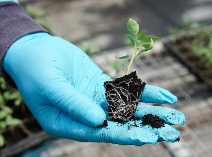 Patented Zig biodegradable nitrile gloves